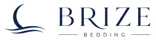 BRIZE logo header